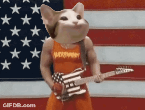 Cat Playing Guitar With Hardcore Shirt GIF