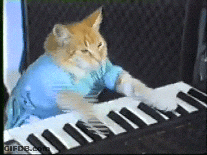 Cat Playing Melody On Piano GIF