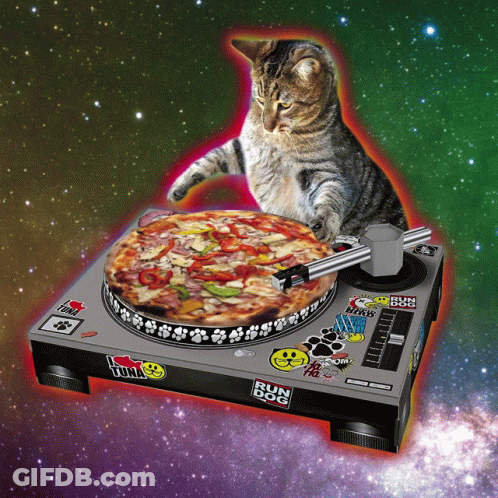 Cat Playing Pizza On Turntable Saying Run Dog GIF