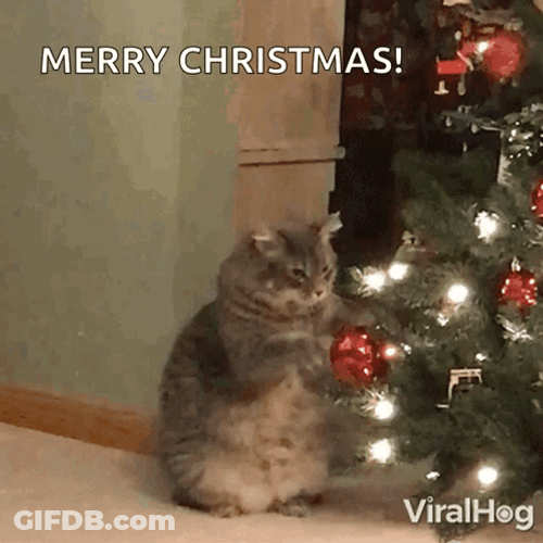 Cat Playing The On The Tree Noel GIF