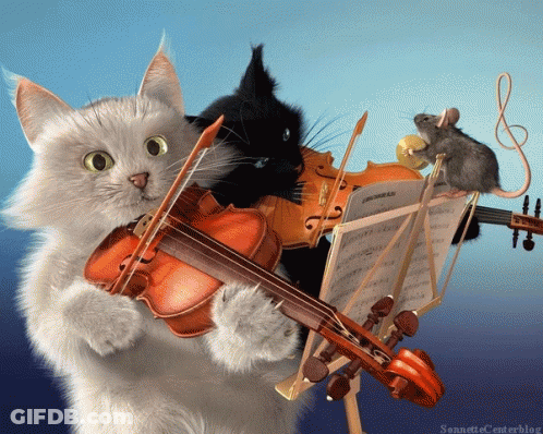 Cat Playing Violin With Mouse Holding Violin GIF
