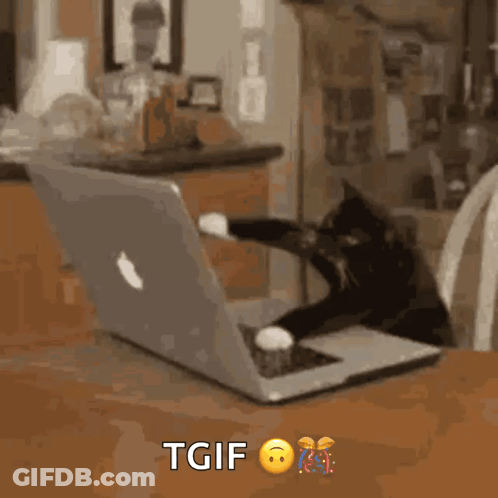 Cat Playing With Apple Laptop GIF
