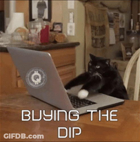 Cat Playing With Ball Buying The Dip GIF