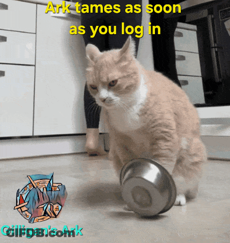 Cat Playing With Bowl Saying Ark Tames As Soon As You Log In GIF