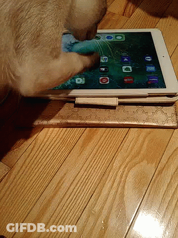 Cat Playing With Broken Screen Tablet GIF
