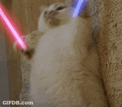 Cat Playing With Lightsaber On Head GIF