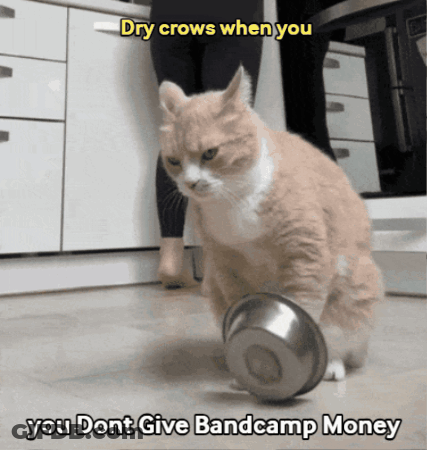 Cat Playing With Metal Bowl Saying Dry Crows When You Dont Give Bandcamp Money GIF