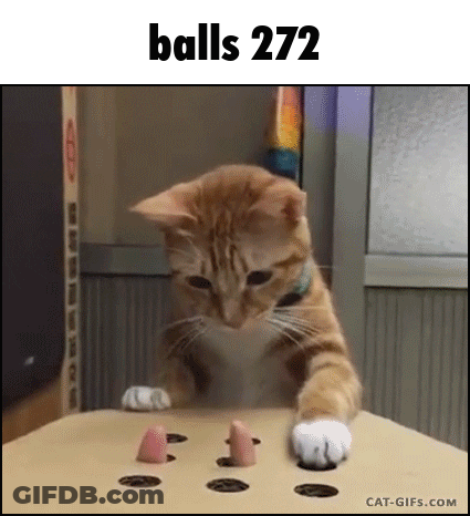 Cat Playing With Pizza Box Toy GIF