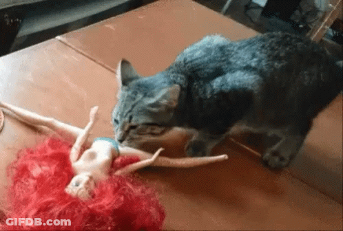 Cat Playing With Red-Haired Barbie Doll GIF