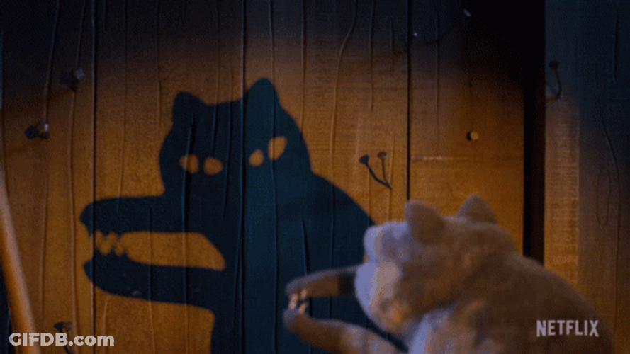 Cat Playing With Shadow GIF