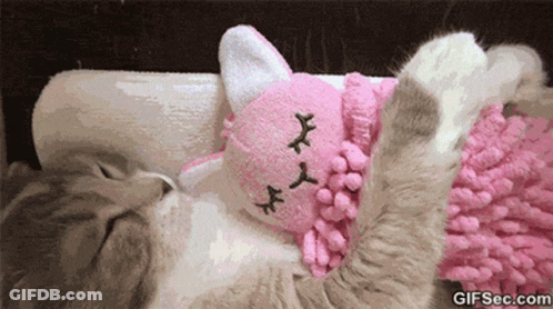 Cat Playing With Stuffed Sleeping Kitty GIF