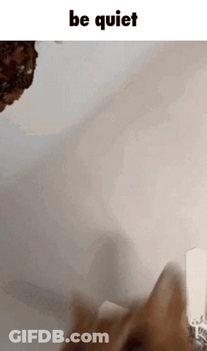 Cat Playing With Toy Saying Be Quiet GIF