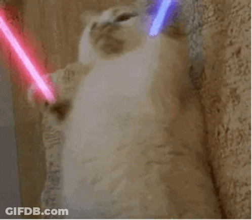 Cat Playing With Two Lightsabers GIF