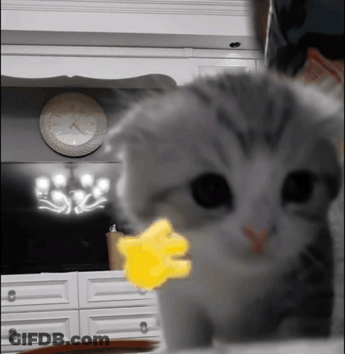 Cat Playing With Yellow Flower In Front Of Clock Saying 10:08 GIF