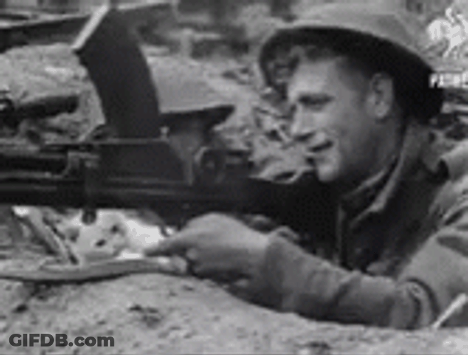 Cat Plays With Gun GIF