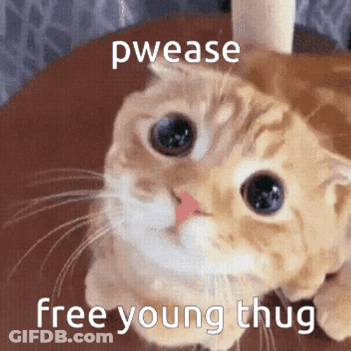 Cat Pleading Eyes Free Young Thug GIF