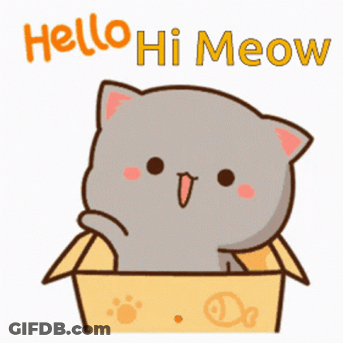 Cat Pops Up Hello Hi Meow GIF