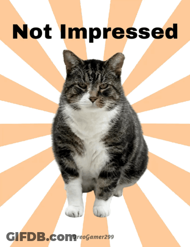 Cat Poster Not Impressed GIF