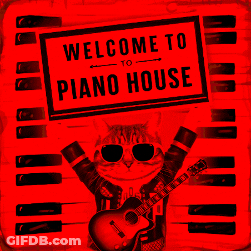 Cat Poster Welcome To Piano House GIF