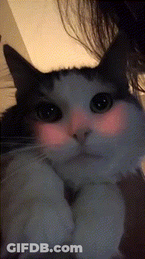 Cat Puking Rainbow GIF