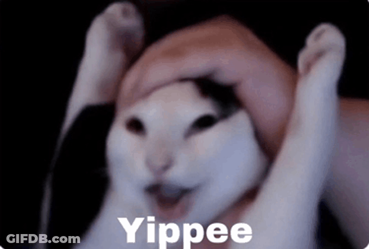 Cat Pulled By Hand Yipee GIF