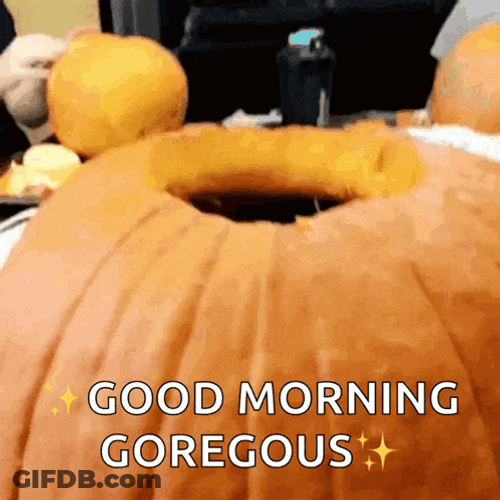 Cat Pumpkin GIF