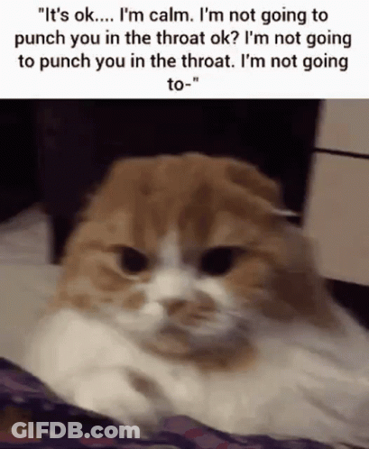 Cat Punch Throat Meow Squeesh Squeesha Squeeeesh Evil Incantation Cat GIF