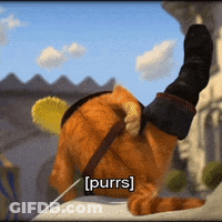 Cat Purrs GIF