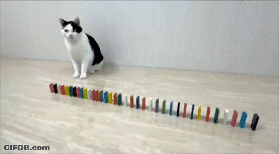 Cat Pushing Colorful Dominos Falling GIF