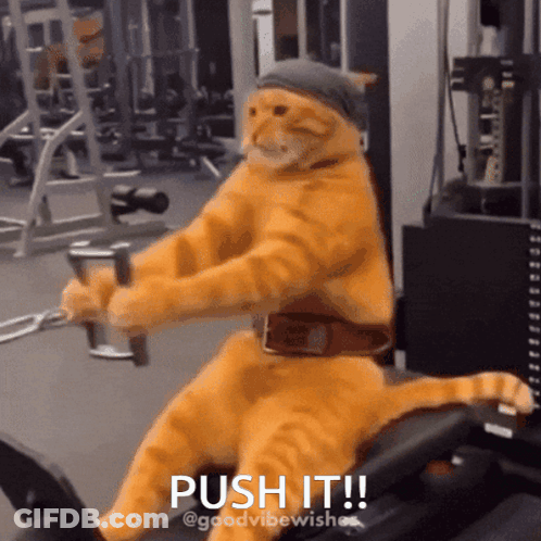 Cat Pushing Machine Saying Push It GIF