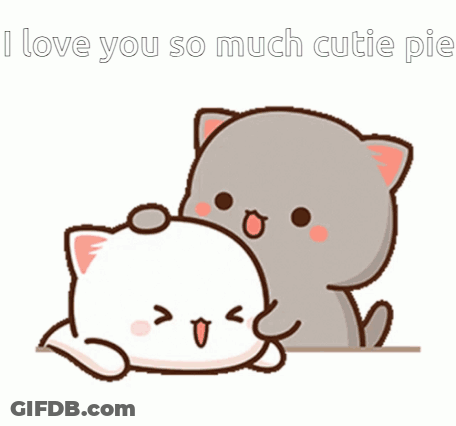 Cat Putting Heart On Cat I Love You GIF