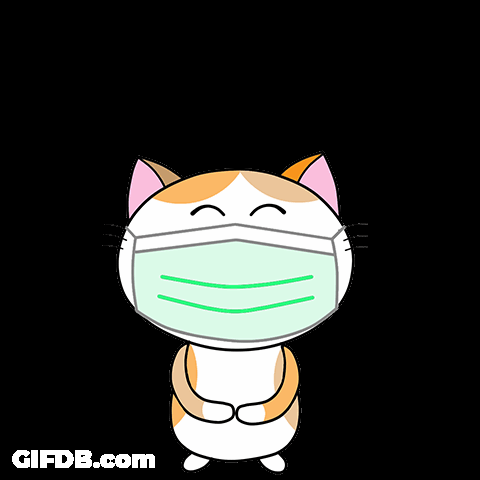 Cat รักษา สุข ภาพ ด้วย น้า GIF