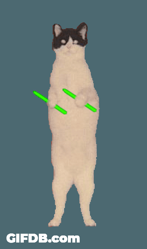 Cat Rave Party Jumping GIF