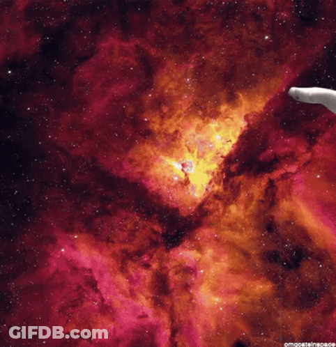 Cat Reaching Into Galaxy With Caption Omgosteinspace GIF