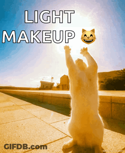Cat Reaching Up To Catch Smiley Saying Light Makeup GIF