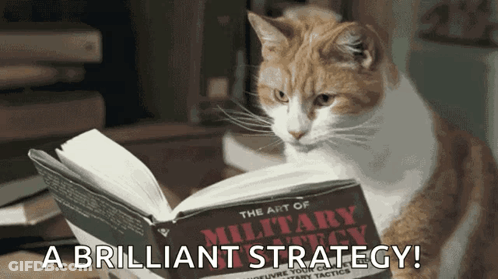 Cat Reading Book About Military Strategy GIF