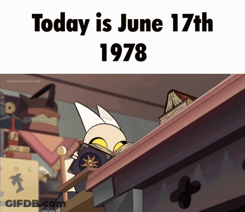 Cat Reading Book June 17 1978 GIF