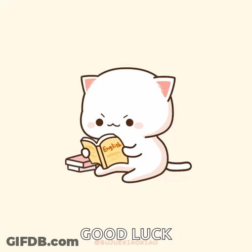 Cat Reading Book Saying Good Luck GIF