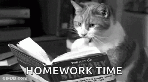 Cat Reading Book Saying Homework Time GIF