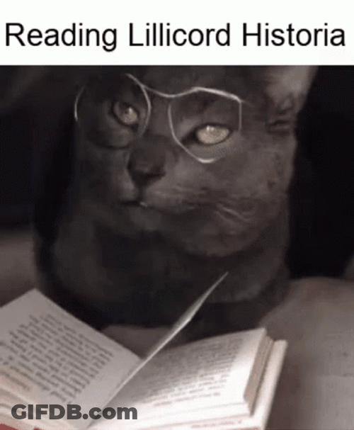 Cat Reading Historia GIF