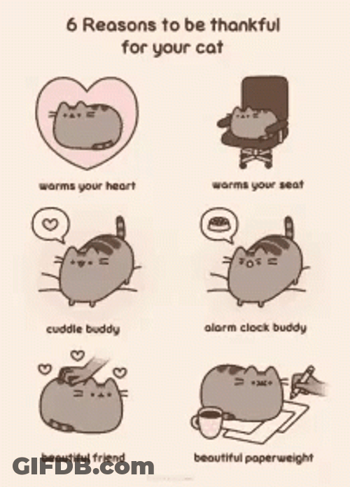 Cat Reasons To Be Thankful On Pusheen Thanksgiving GIF