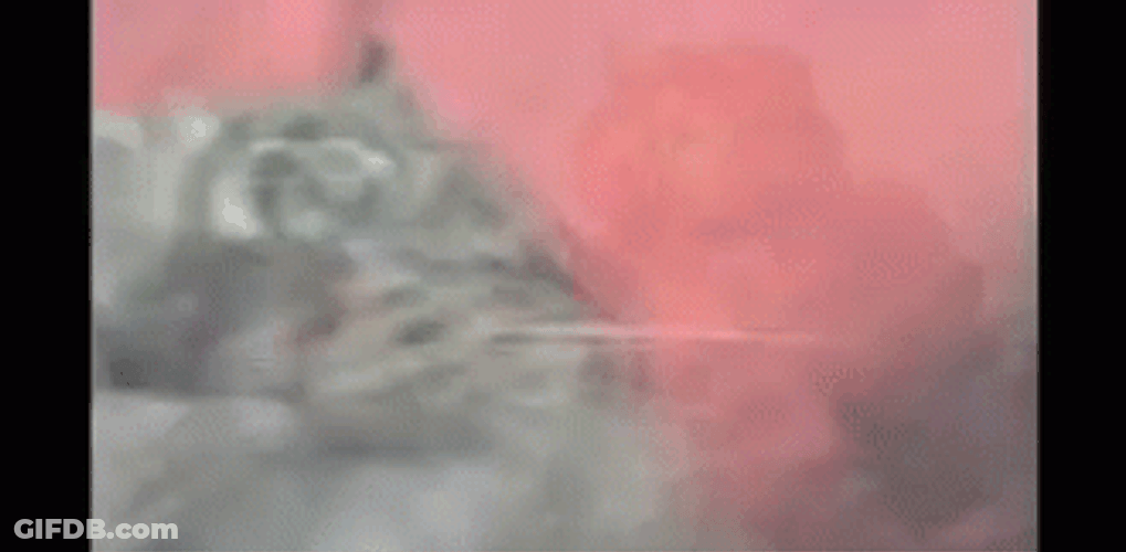 Cat Recalls Bad Memories Dog Vietnam Flashback GIF
