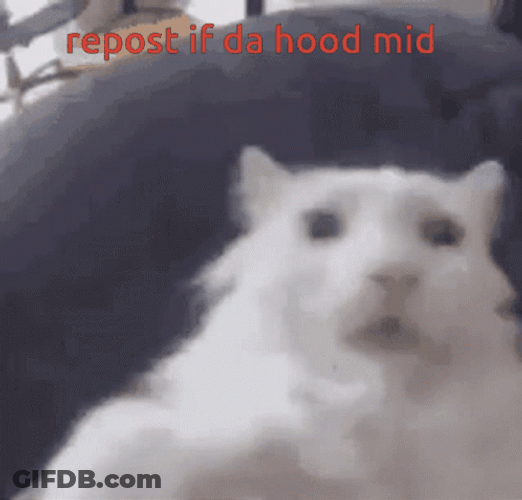 Cat Repost If Da Hood Mid GIF