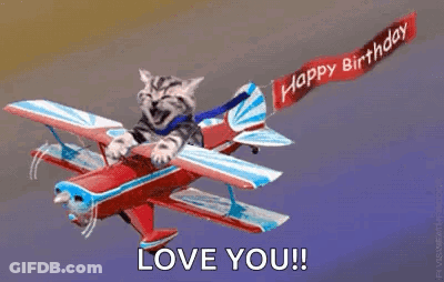 Cat Riding Airplane With Happy Birthday Banner GIF