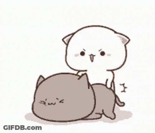Cat Riding Another Cat GIF