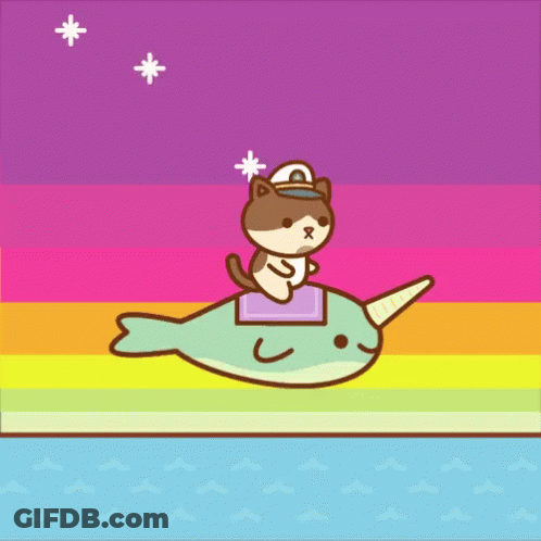 Cat Riding Narwhal Rainbow Background GIF