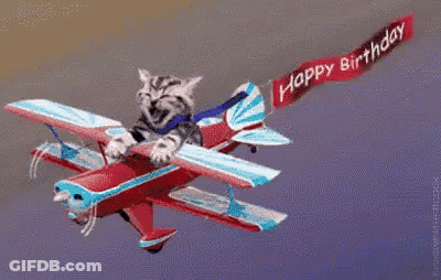 Cat Riding Plane Wing With Happy Birthday Banner GIF