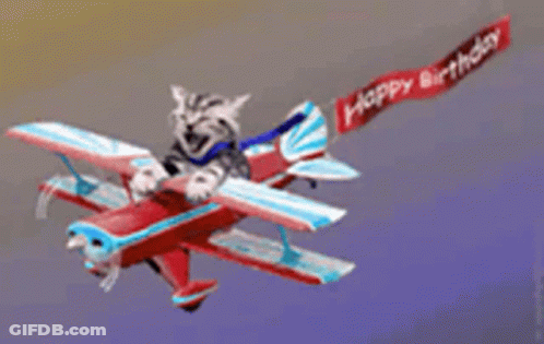 Cat Riding Plane With Happy Birthday Banner GIF
