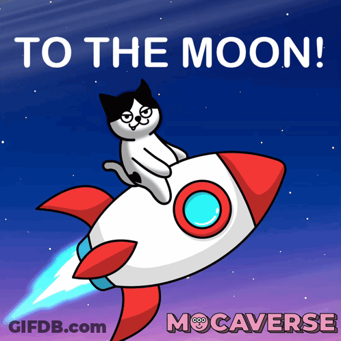 Cat Riding Rocket To The Moon GIF