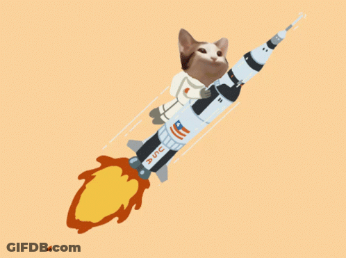 Cat Riding Rocket With USC GIF